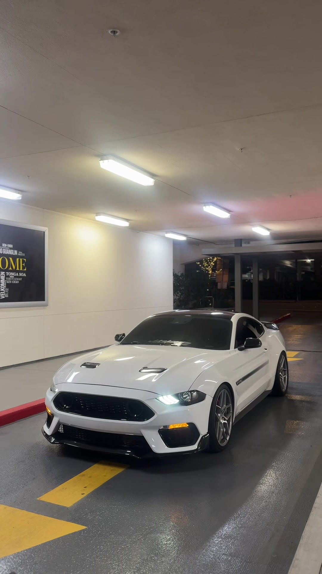 @Jalen.cs