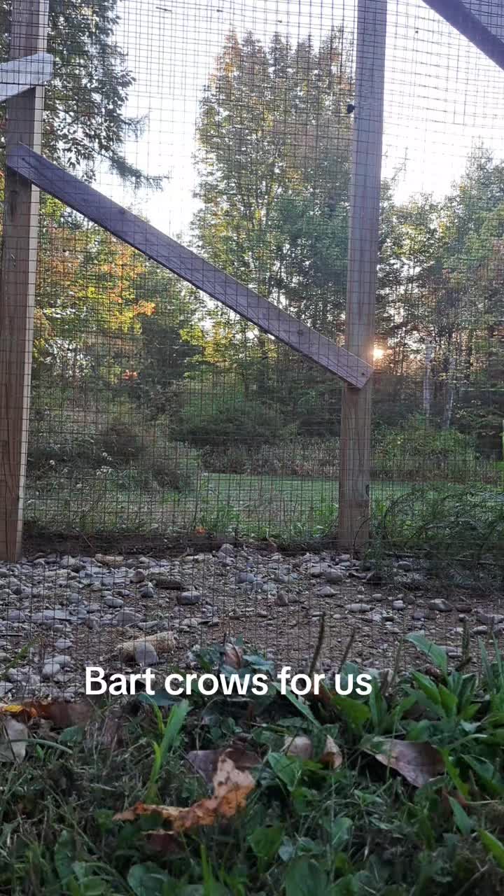 @Darcie Mae