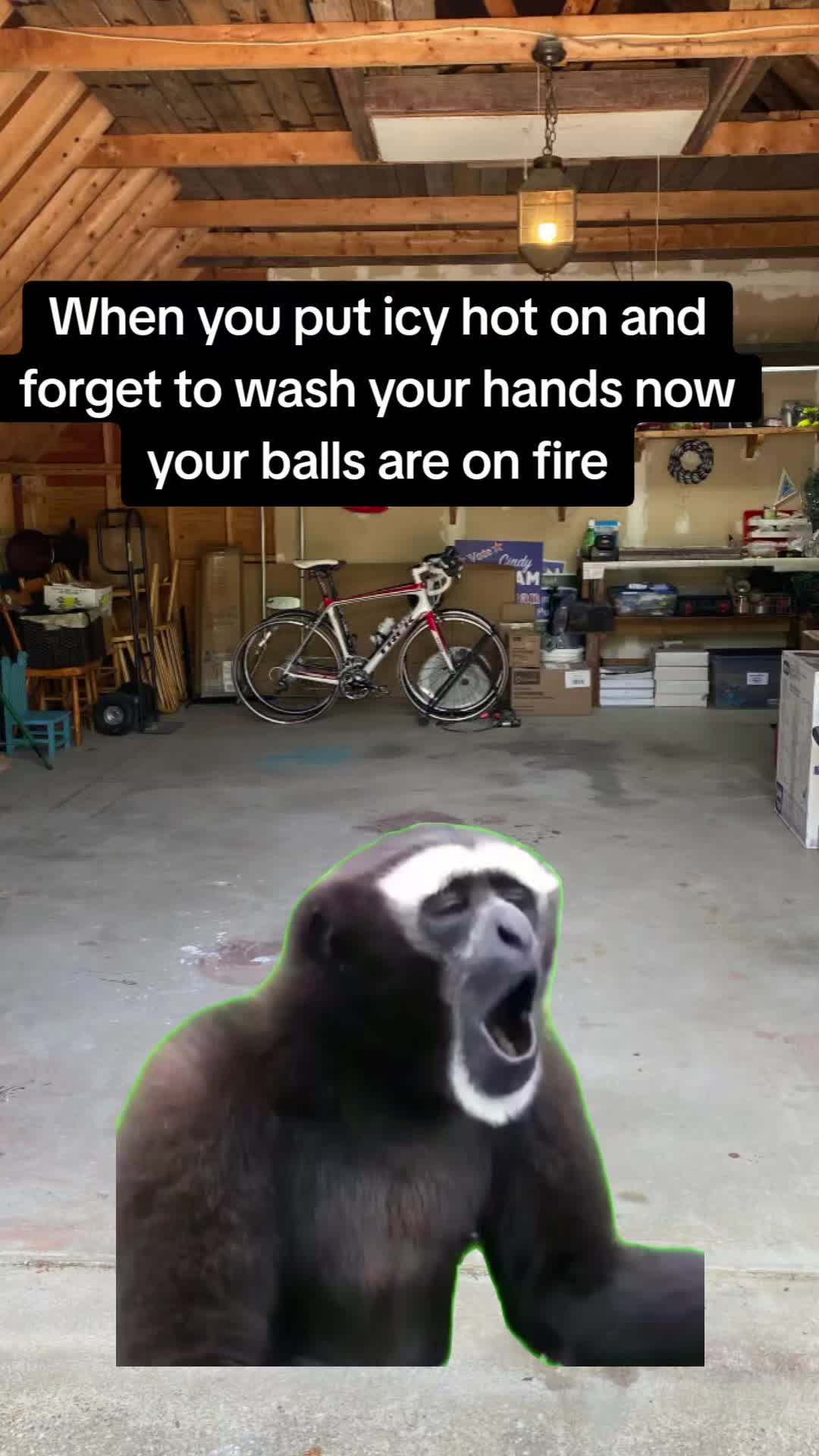 @funnystuff