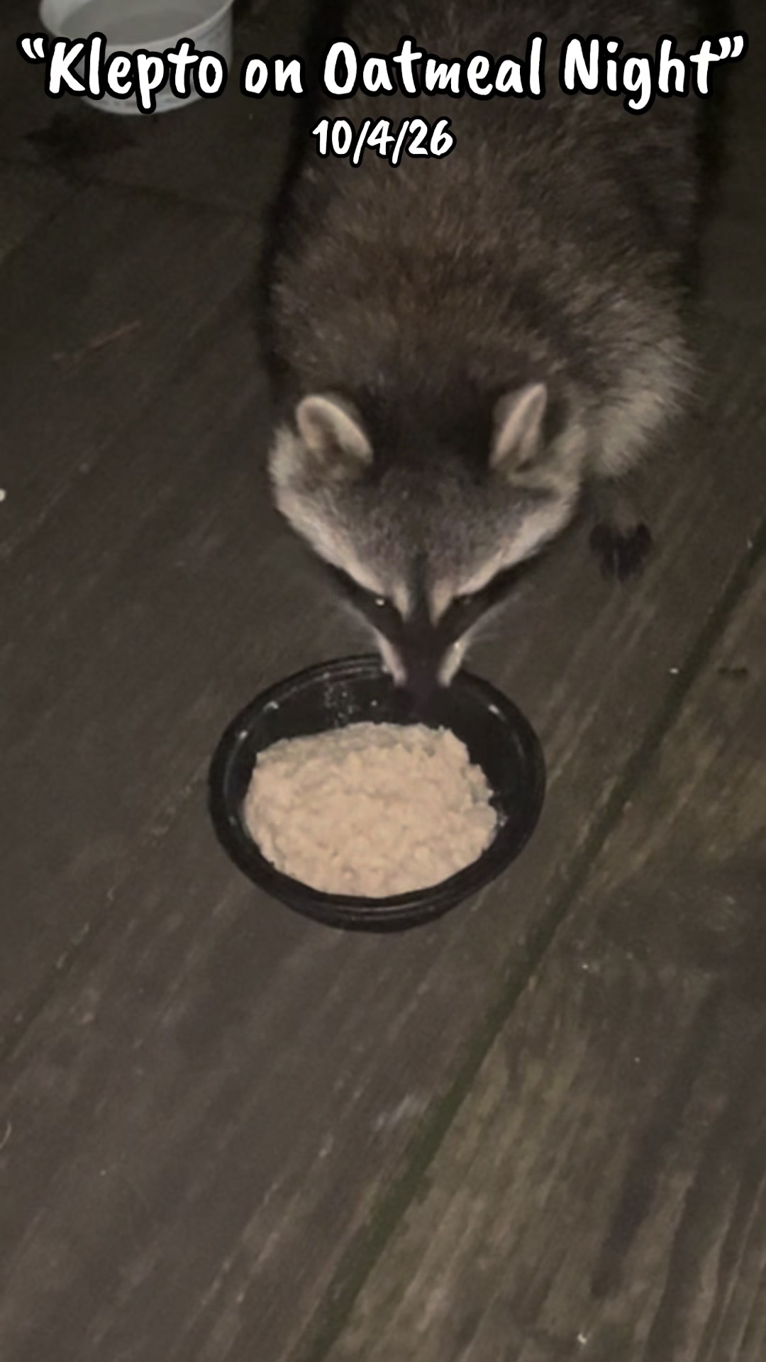@LoneWolfKritterKam