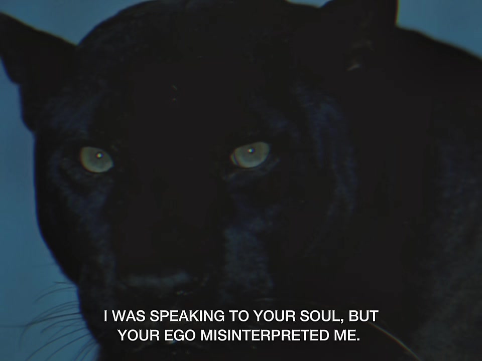 @Gritty Ambition