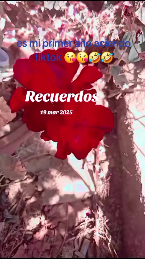 @❤️ Elizabeth.pichiya 😍🫶