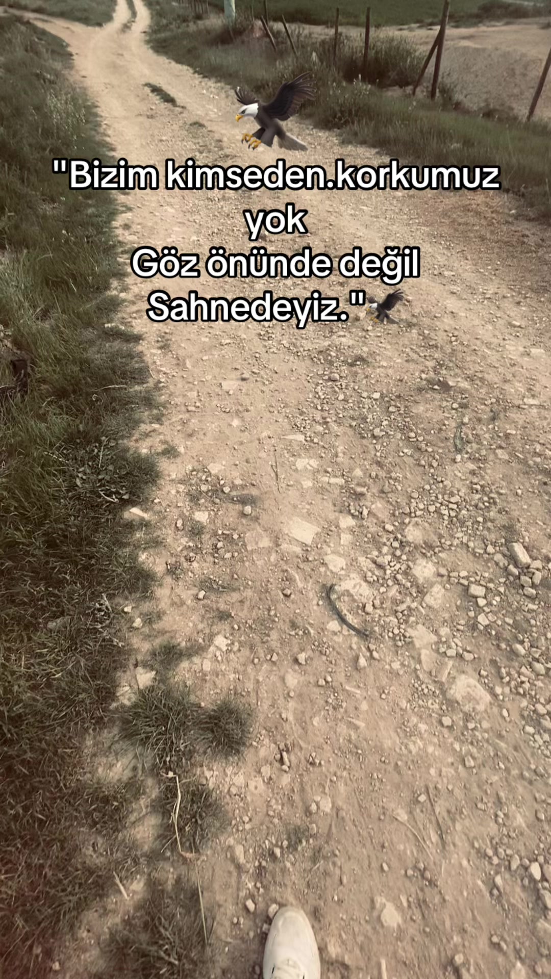 @Seziz adam😞