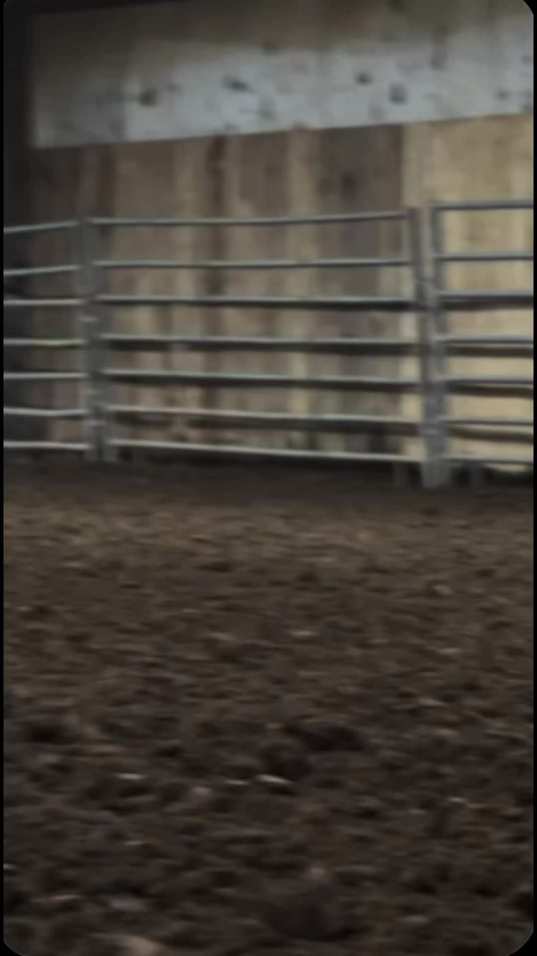 @liv_ryan28