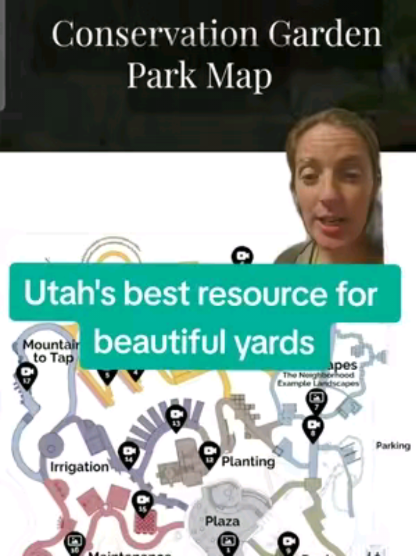 @LadyOfTheGreatSaltLake