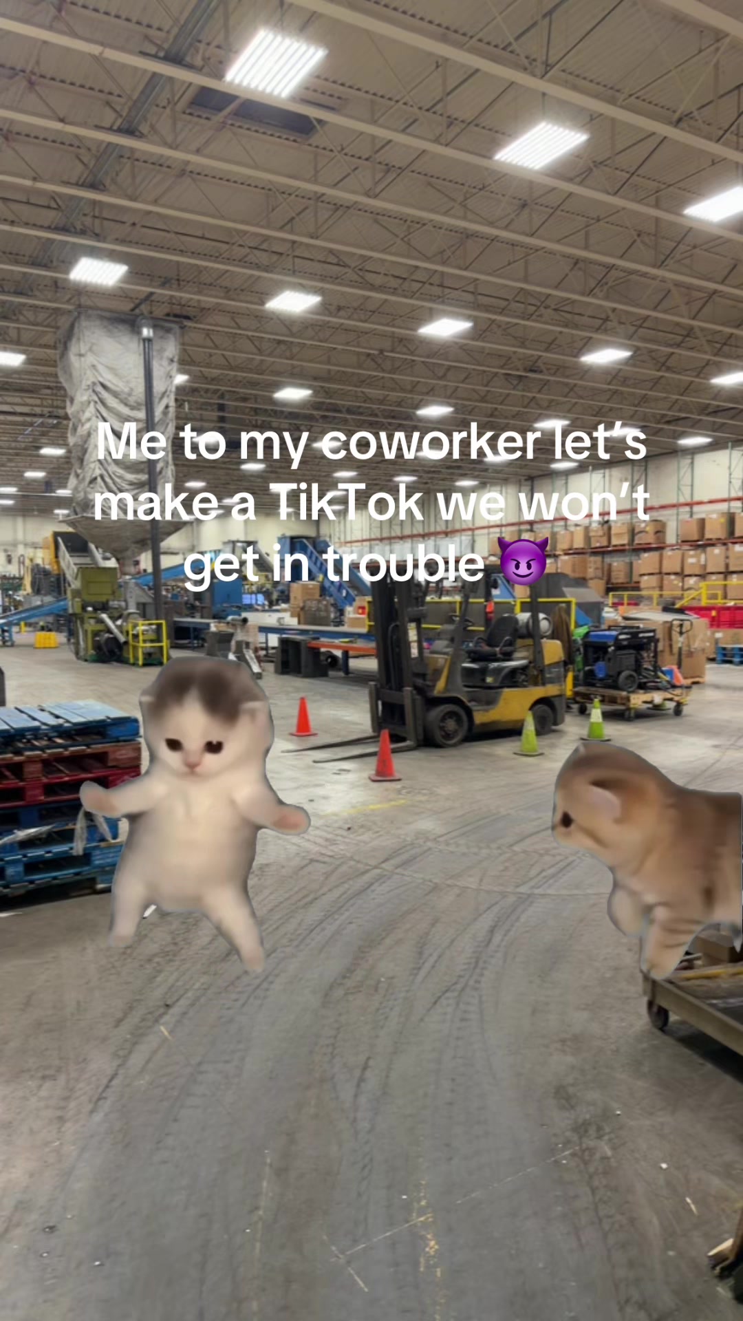 @d_rank_