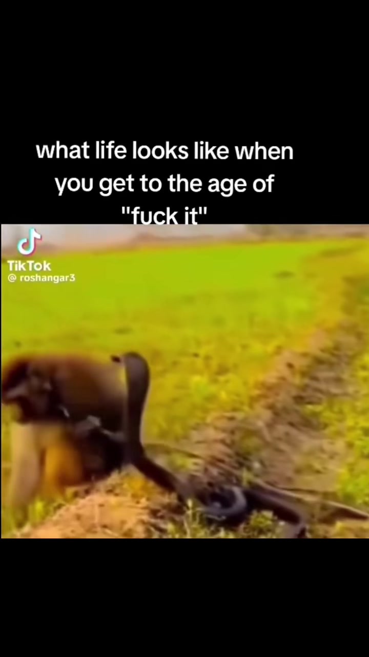 @MrTruckdriver1