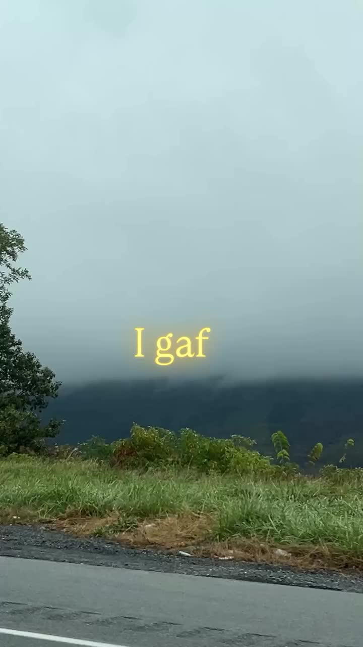 @talia