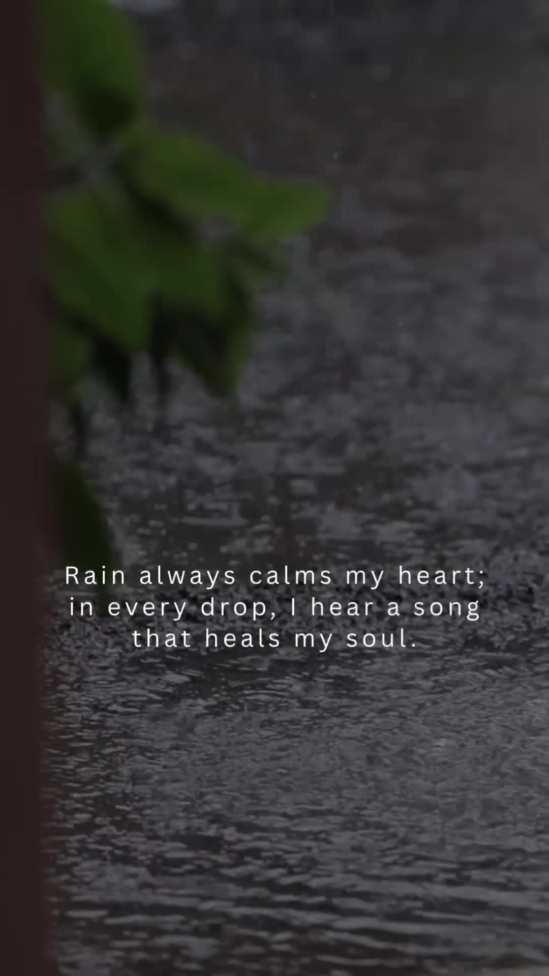 @B🌻