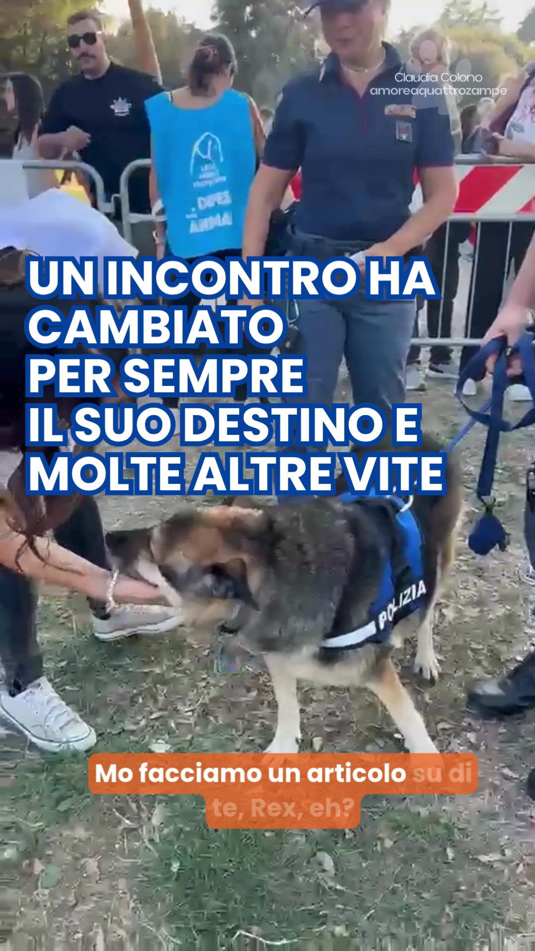 @Amoreaquattrozampe.it