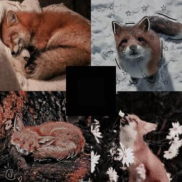 @snowflake🦊fox