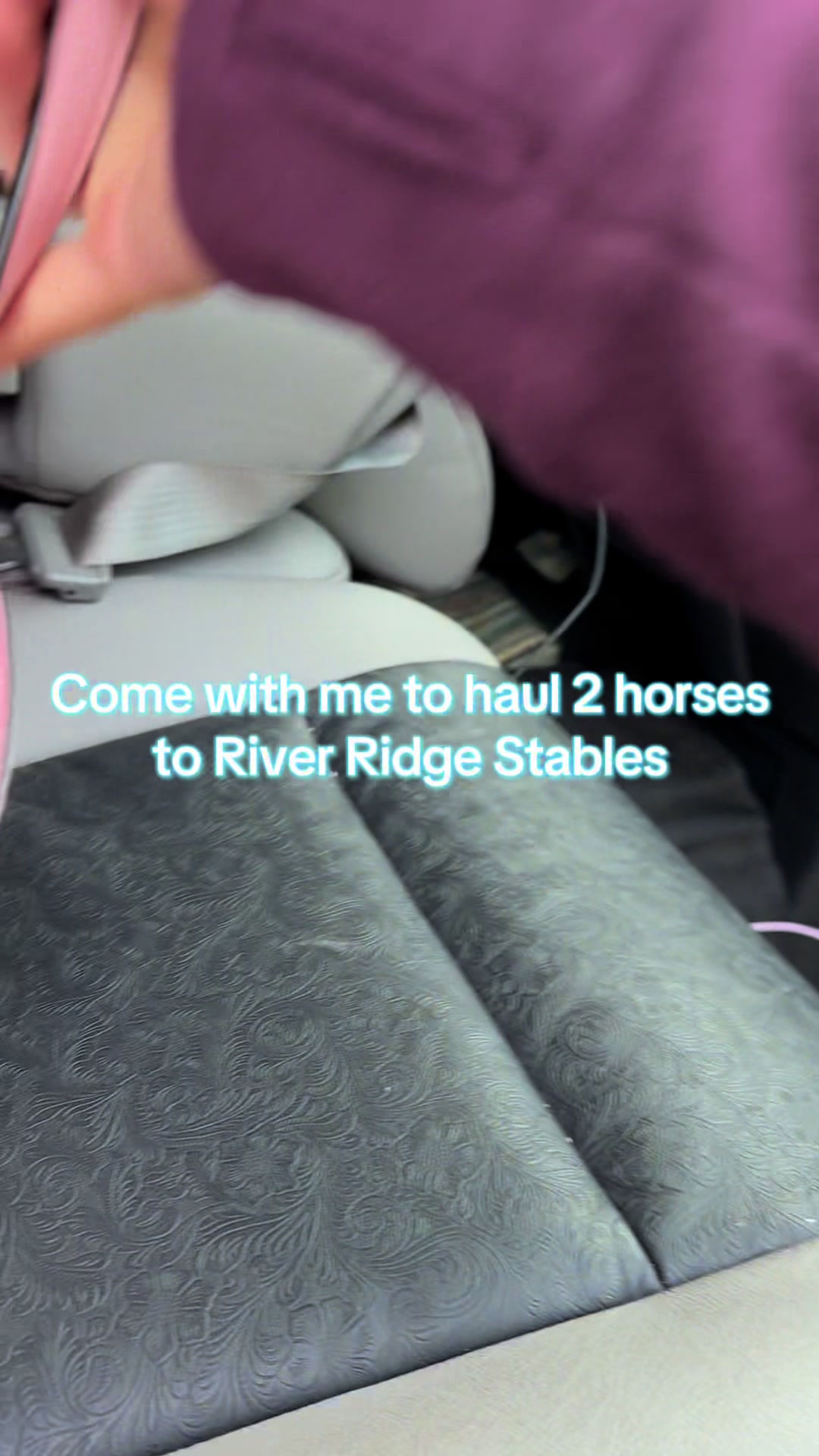 @Living Lucky Quarter Horses