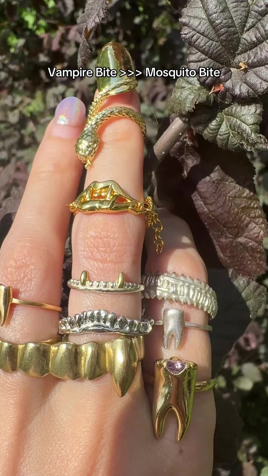 @VeraMeat