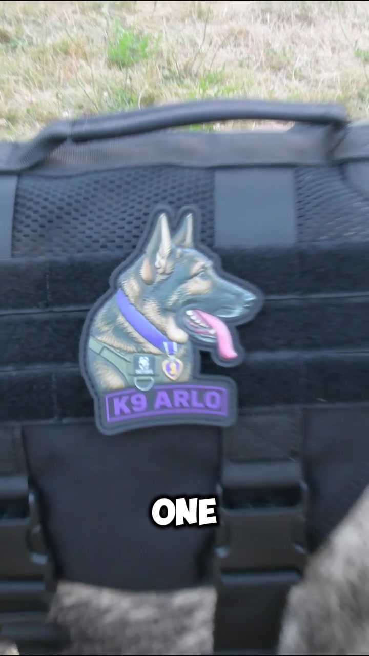 @K9 Arlo