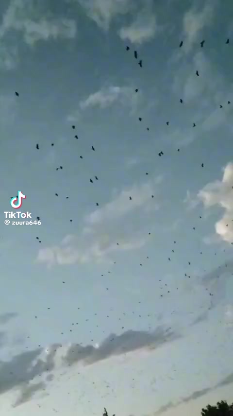 @Диана