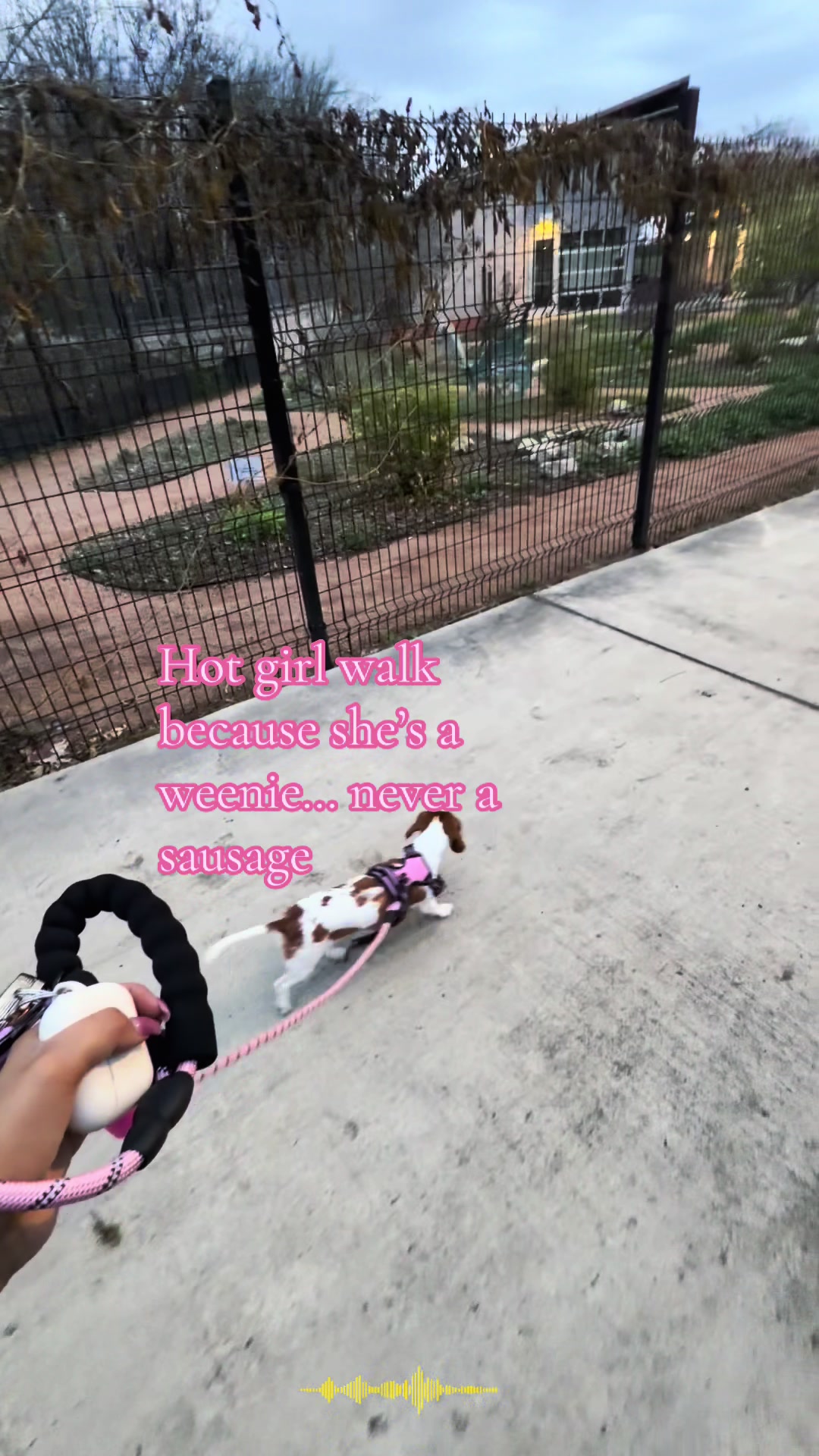 @Jaseña