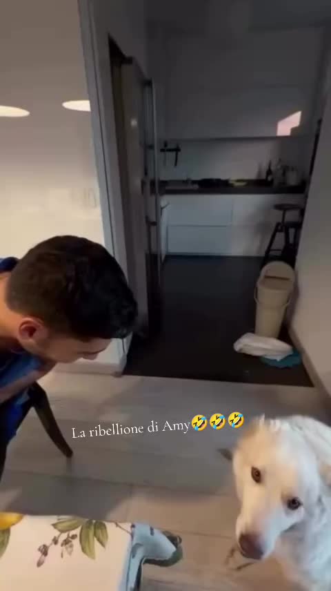 @fedetrilly