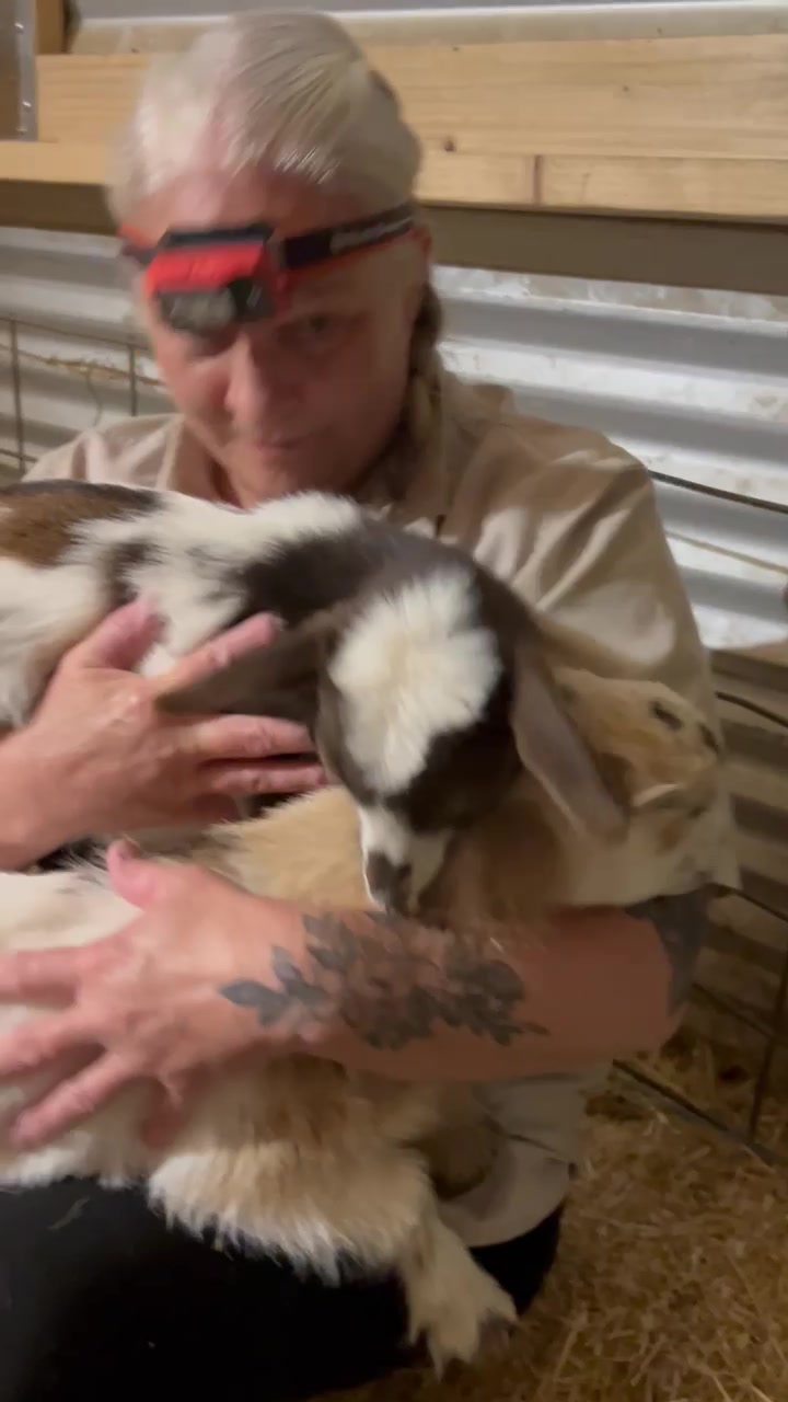 @WollamFarm
