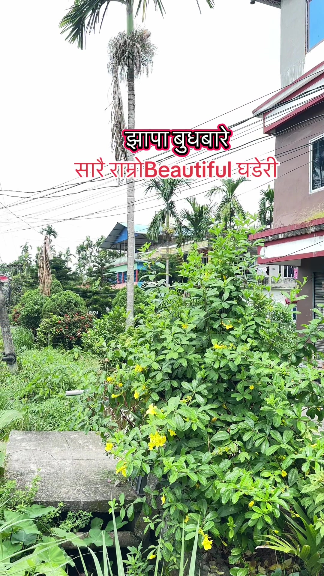 @Maikal ghar jagga
