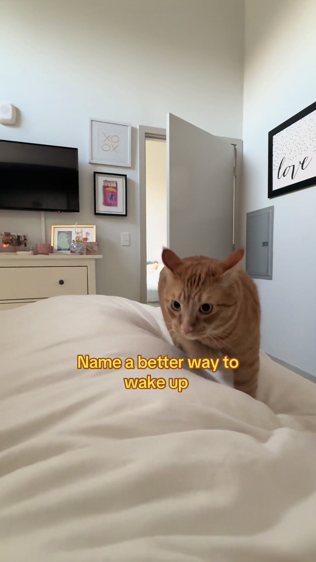 @Ollie