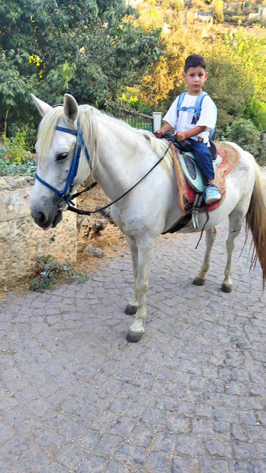 @Gülfiye Duran