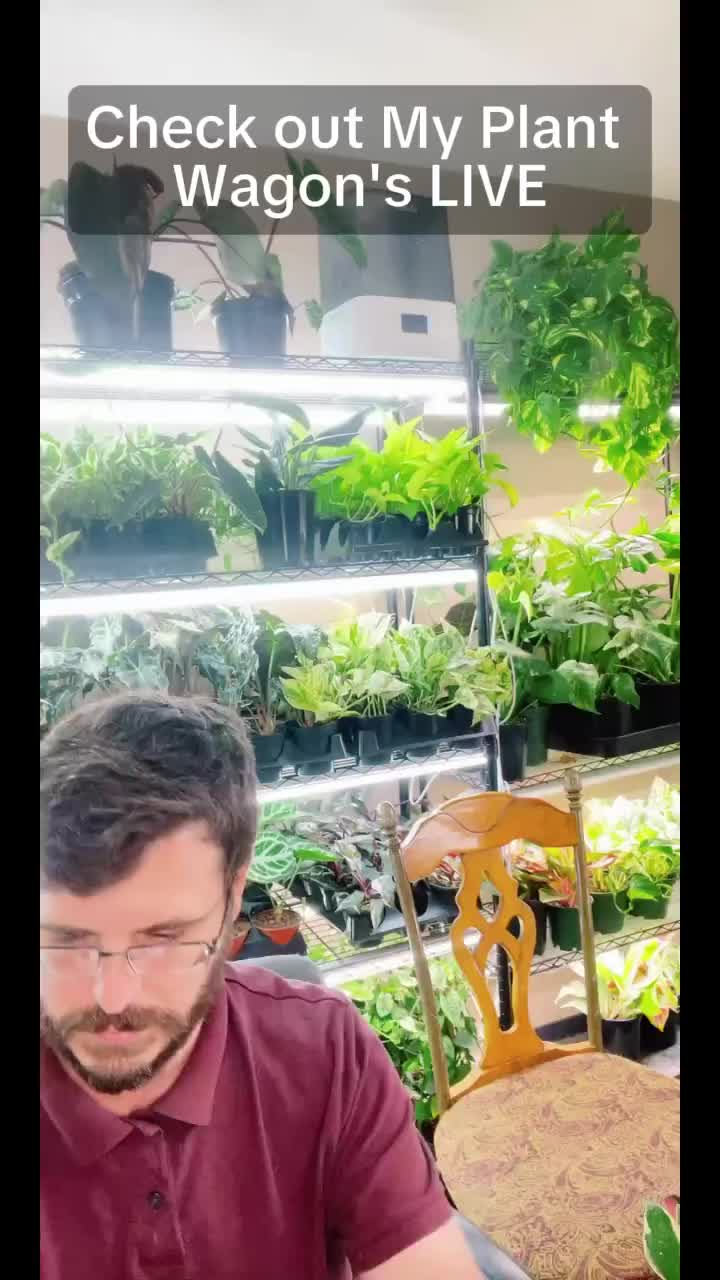@JT Plants 🪴