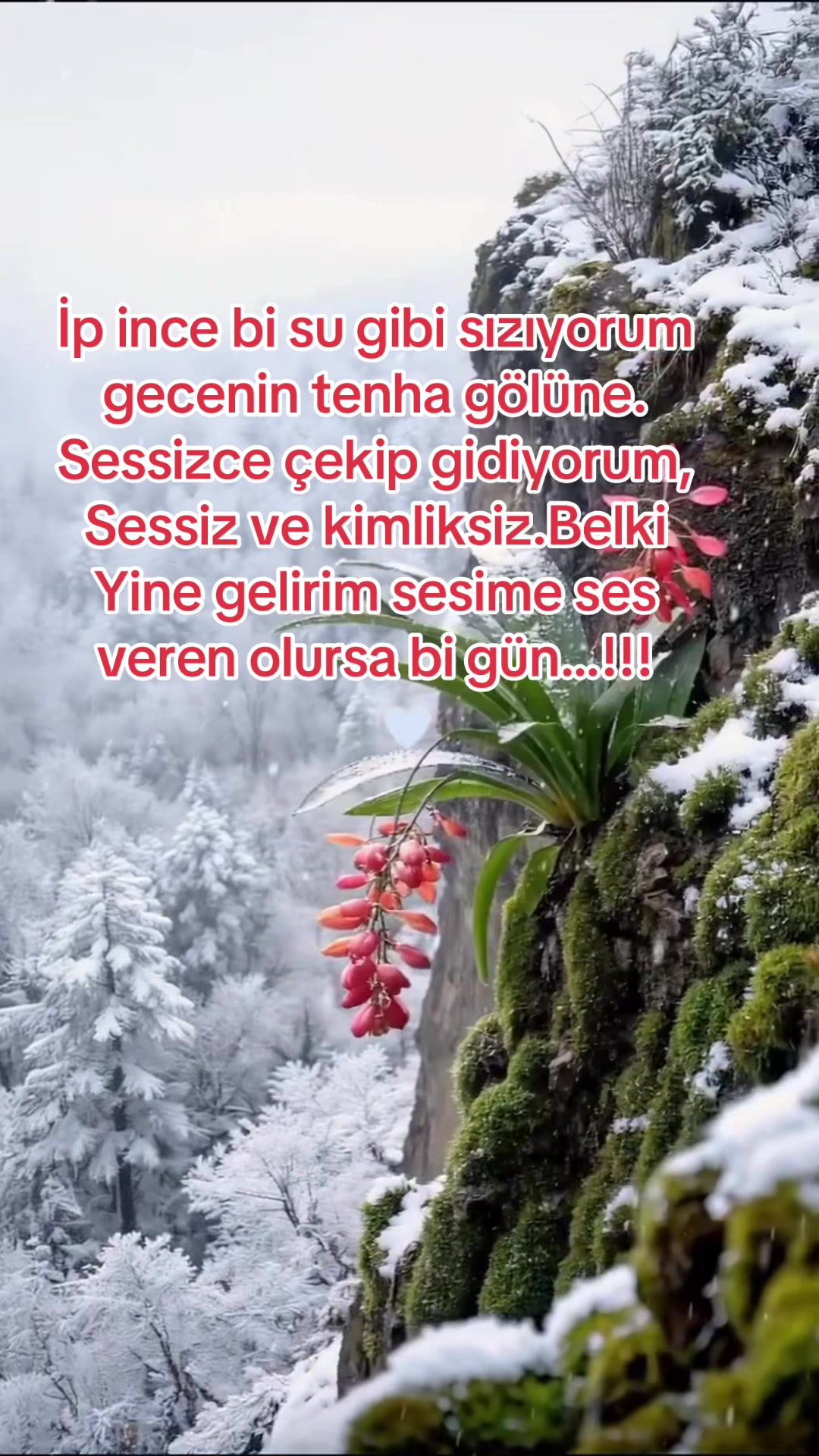 @Buzbeyi