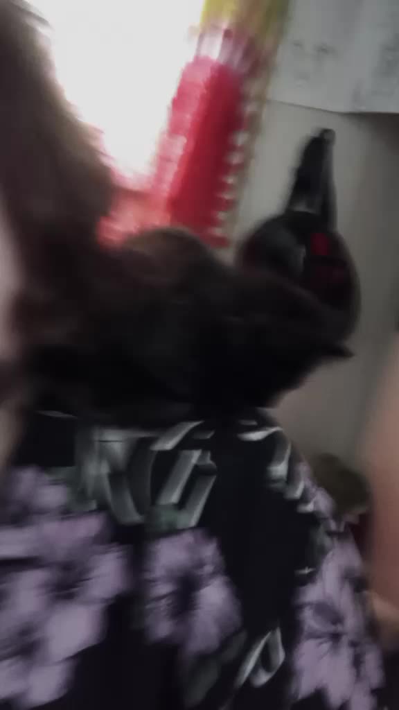 @ToruJaybird