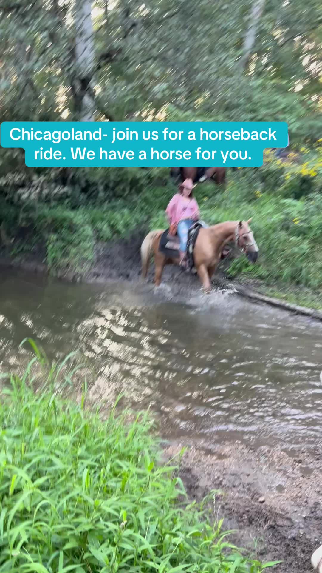 @Millbrook Trail Rides