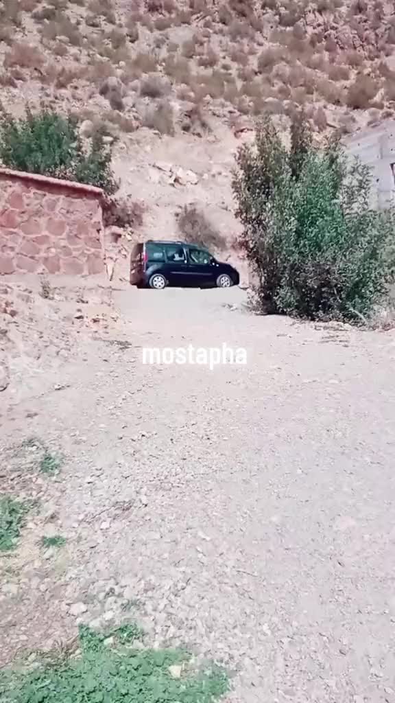 @Mostapha Mildly