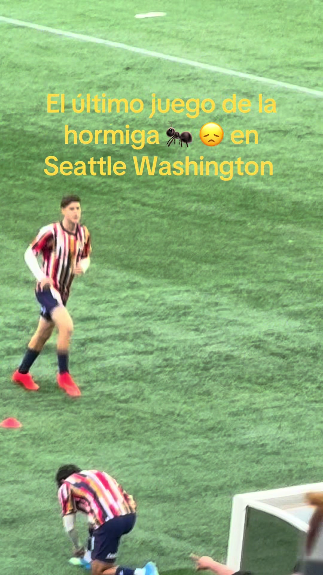 @Angie Ruiz