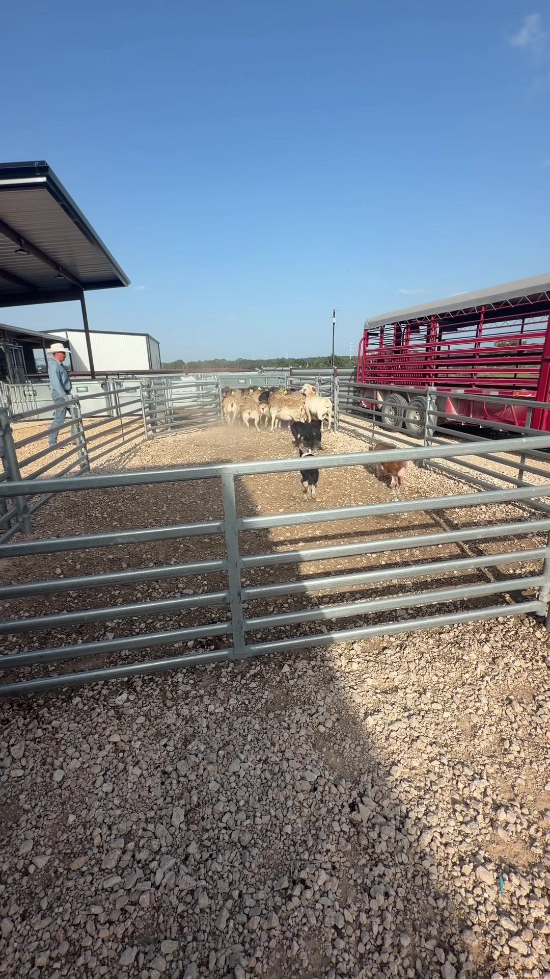 @Bar 7 Ranch