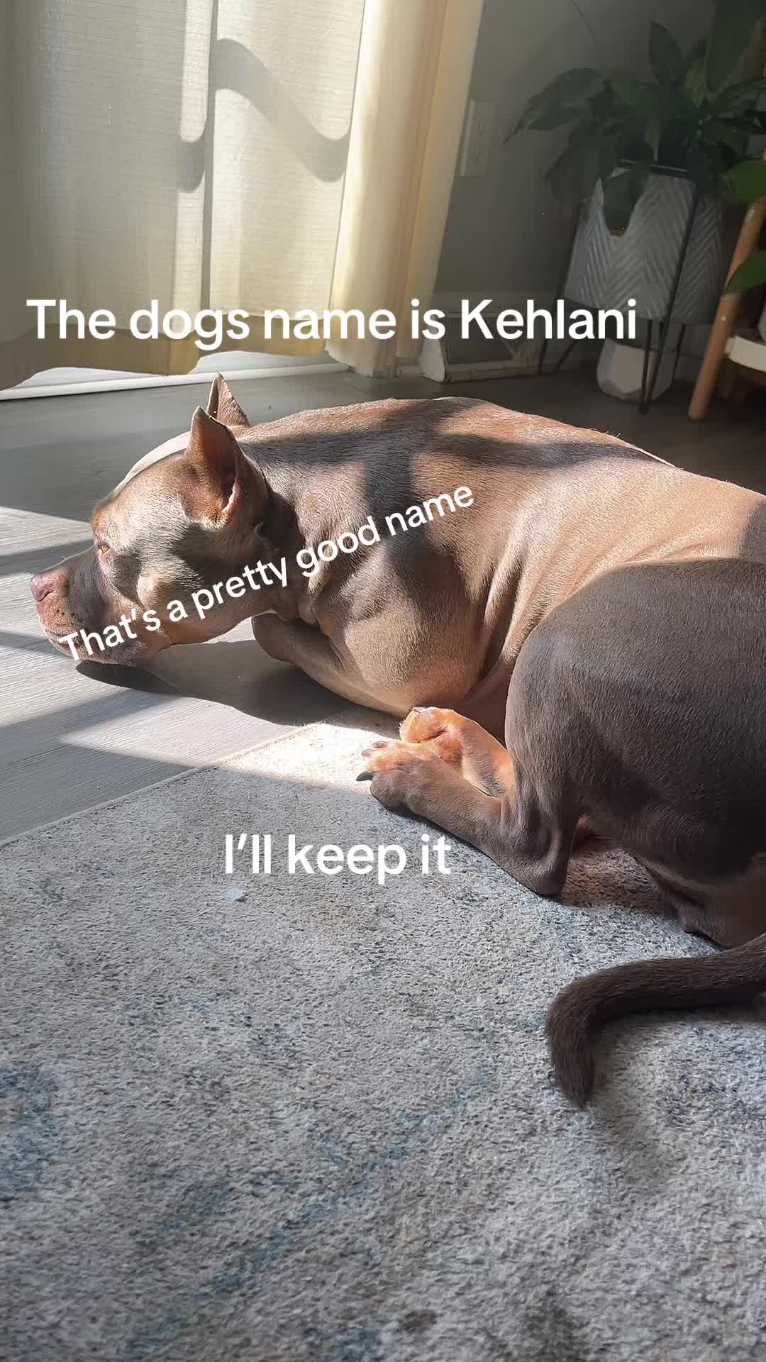 @Kj256