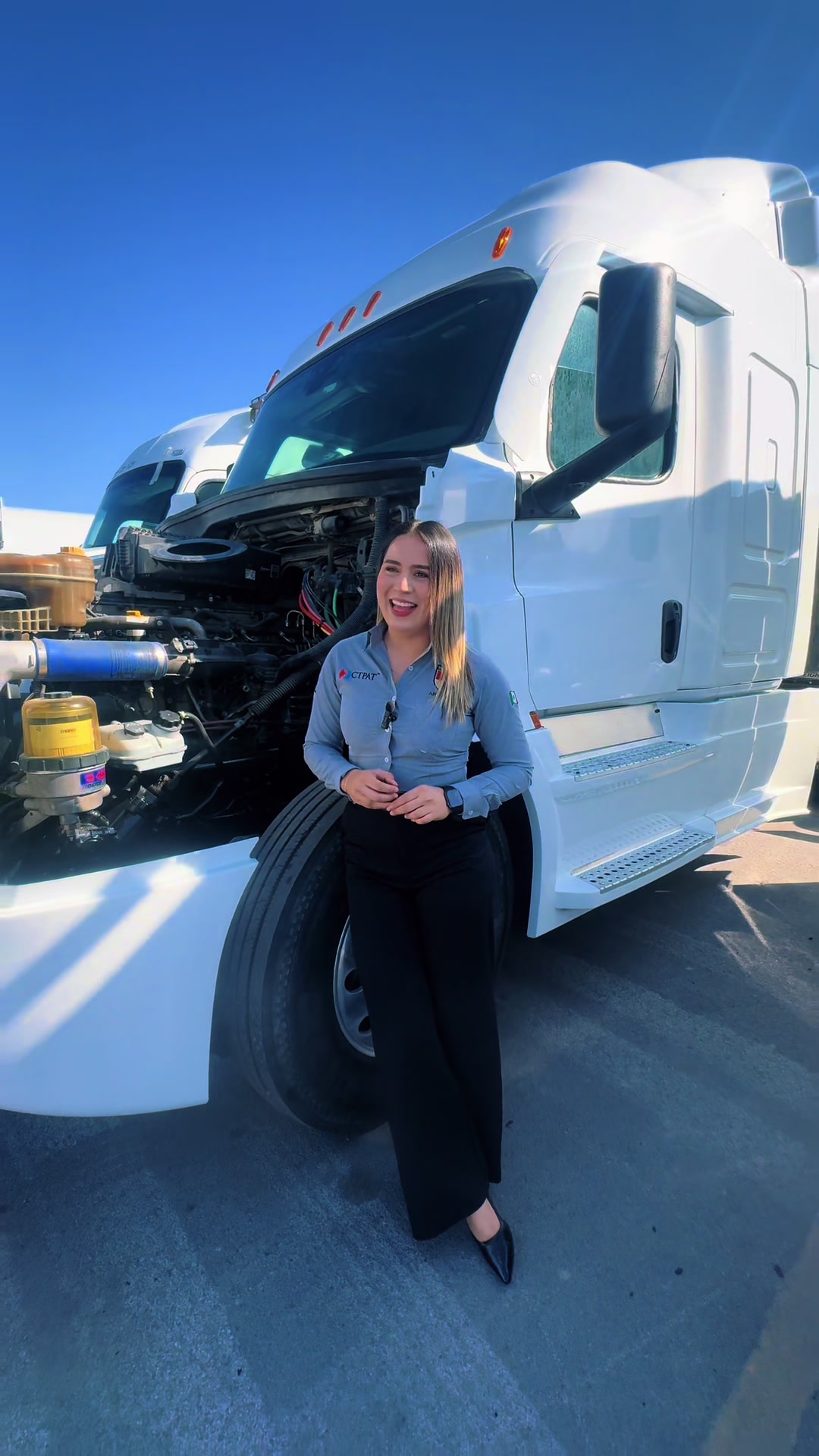 @Transportes Arlequín