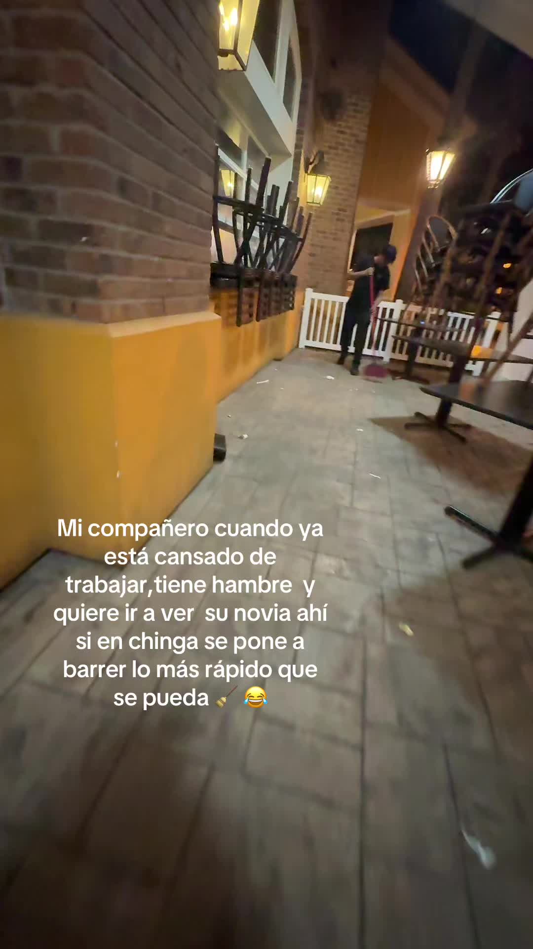 @🐮