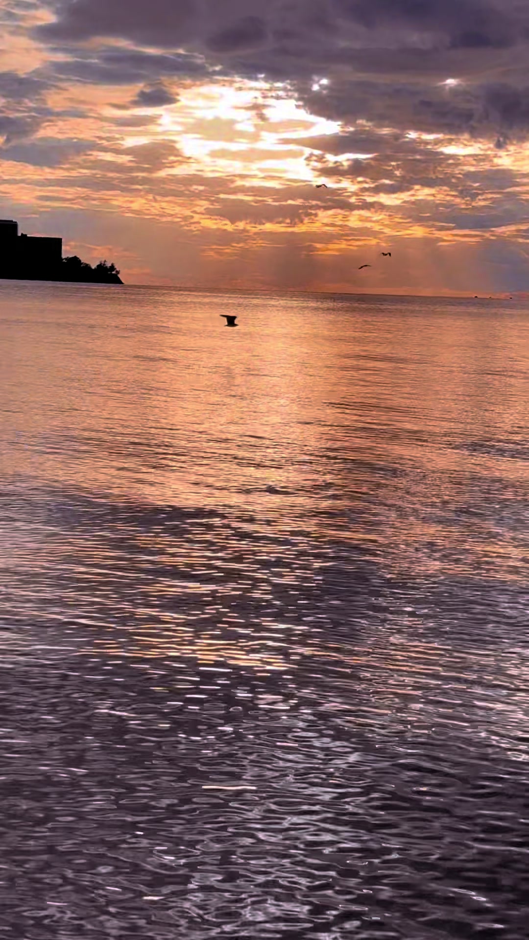 @𝓛𝓾𝓬𝓲𝓭✵𝓛𝓾𝓷𝓪