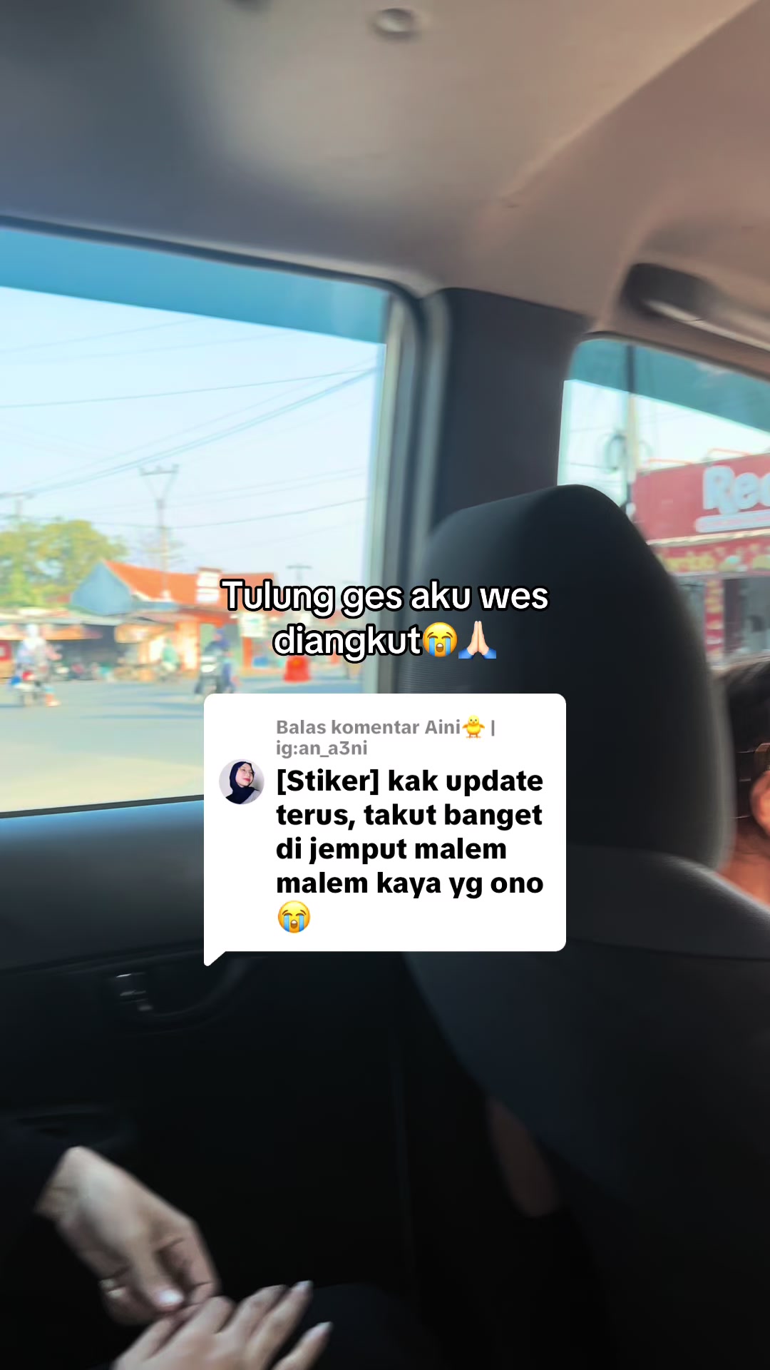 @Cipi🦴
