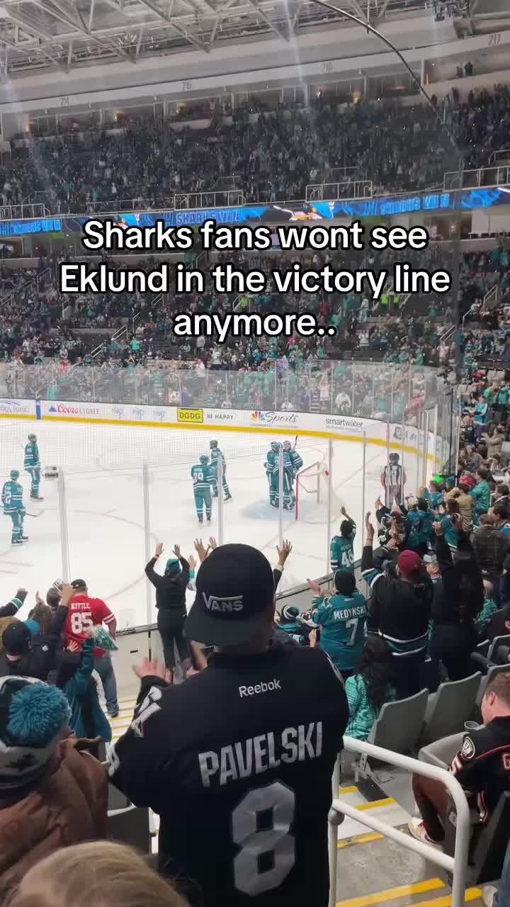 @Shark