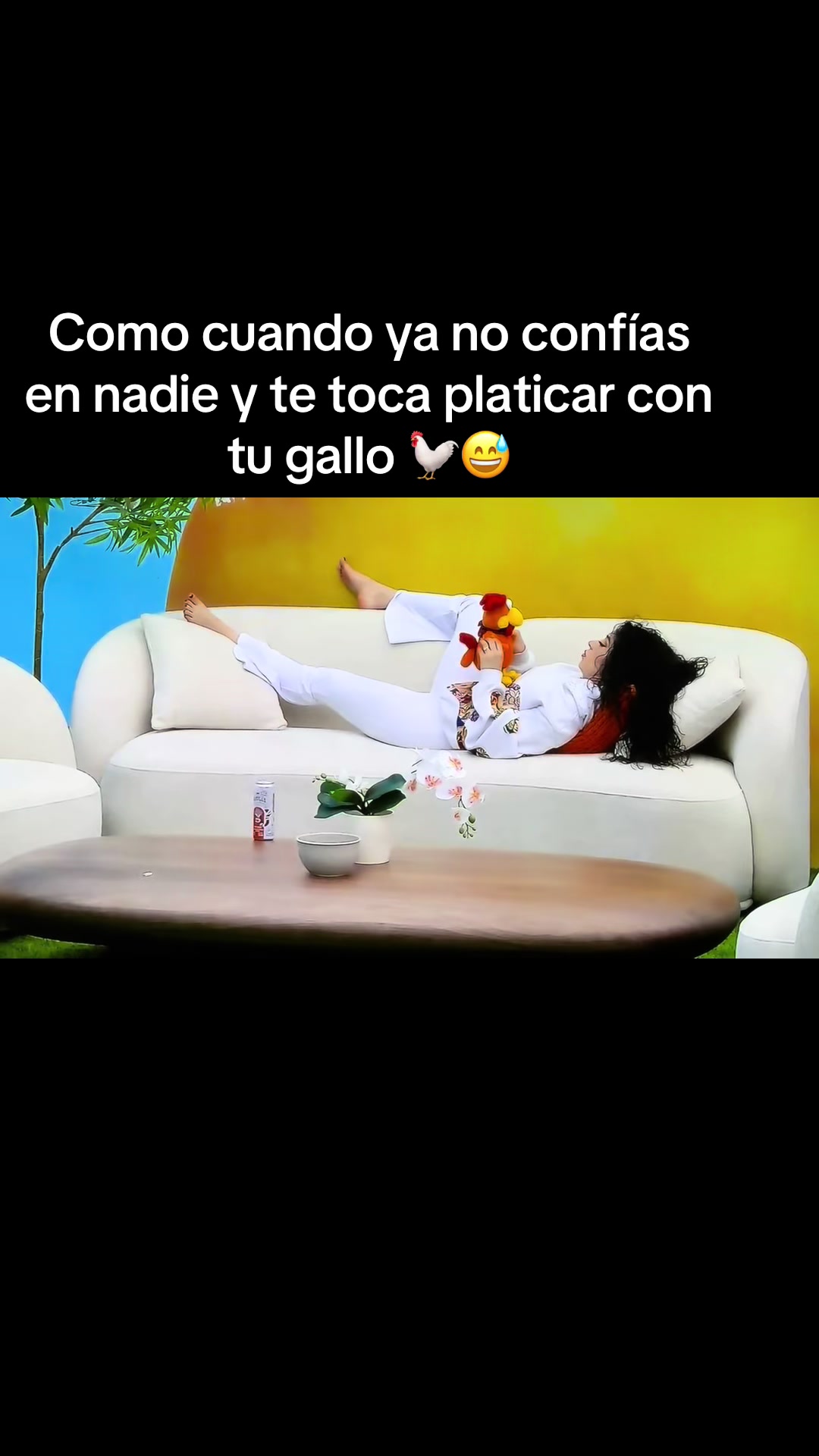 @Michaelag14