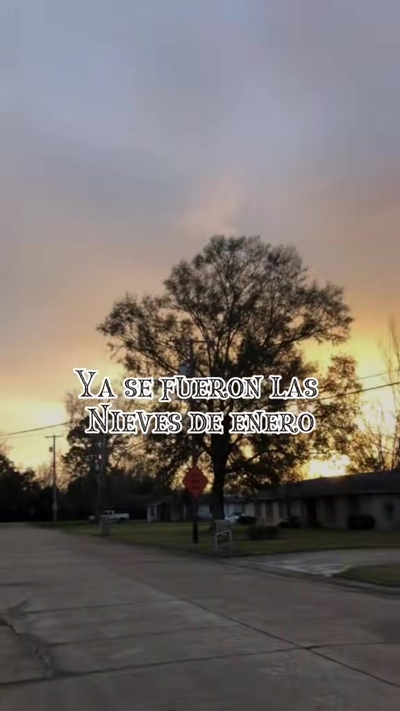 @Saucedo11