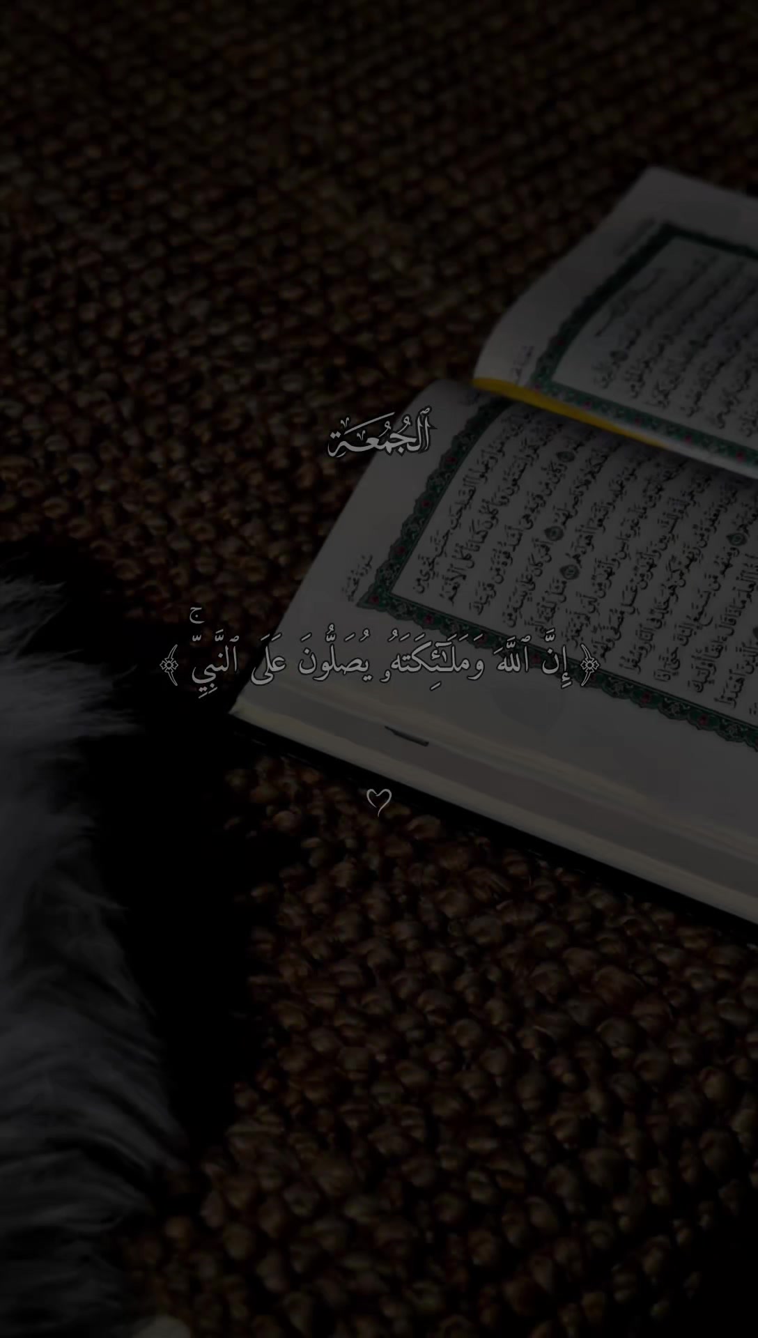 @قــــــرآن || 𝐐𝐮𝐫𝐚𝐧 ✓