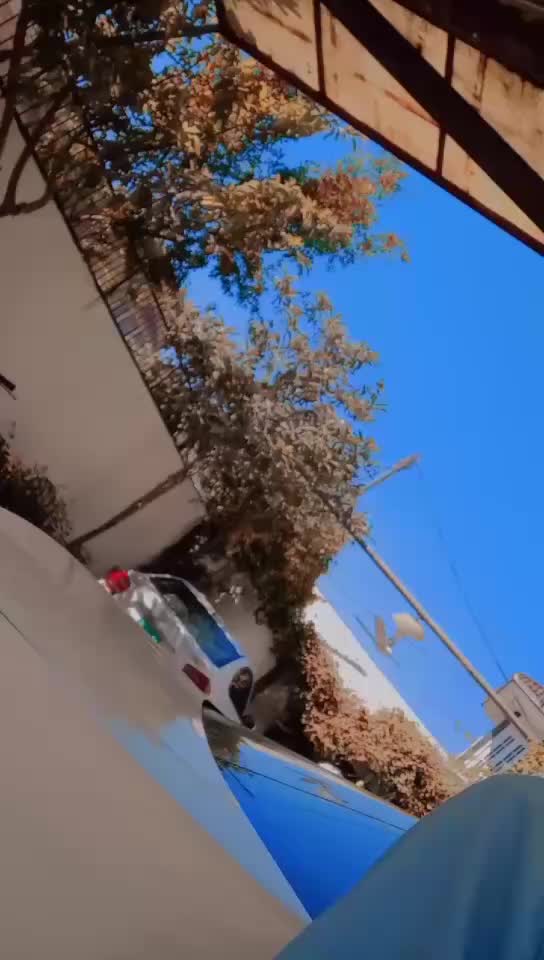@Falakkhan &hearts;️ 302✌️