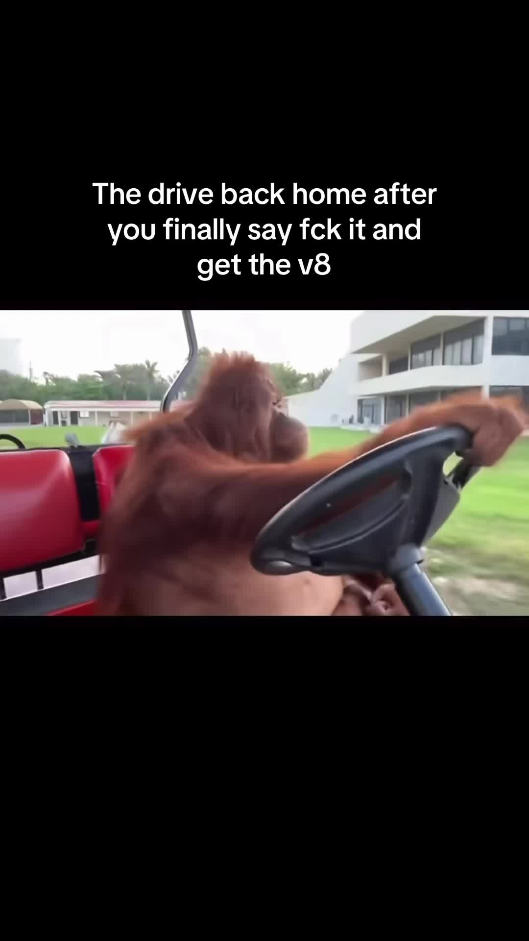 @๐ต ๐ช