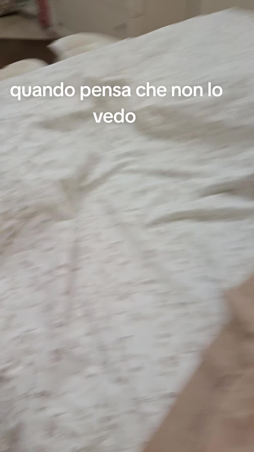 @❤