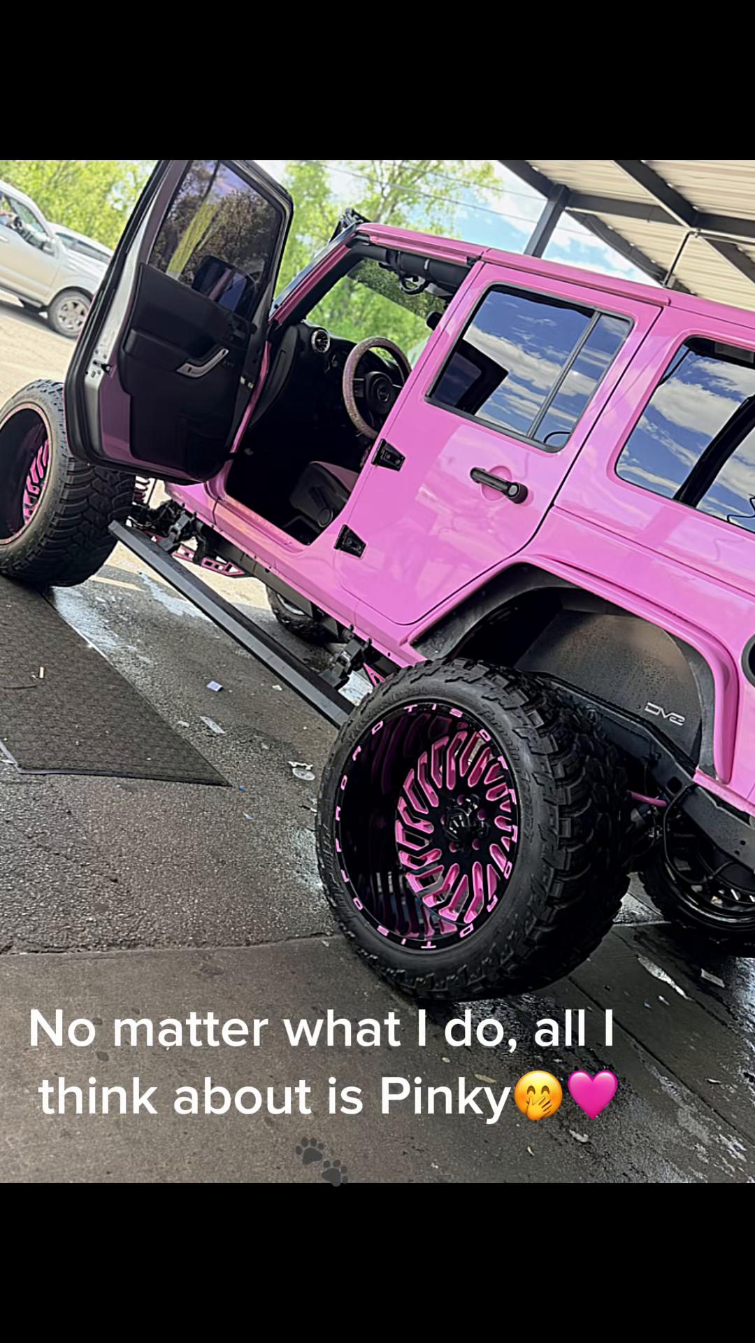 @Pink Panther Jeep 🩷🐾