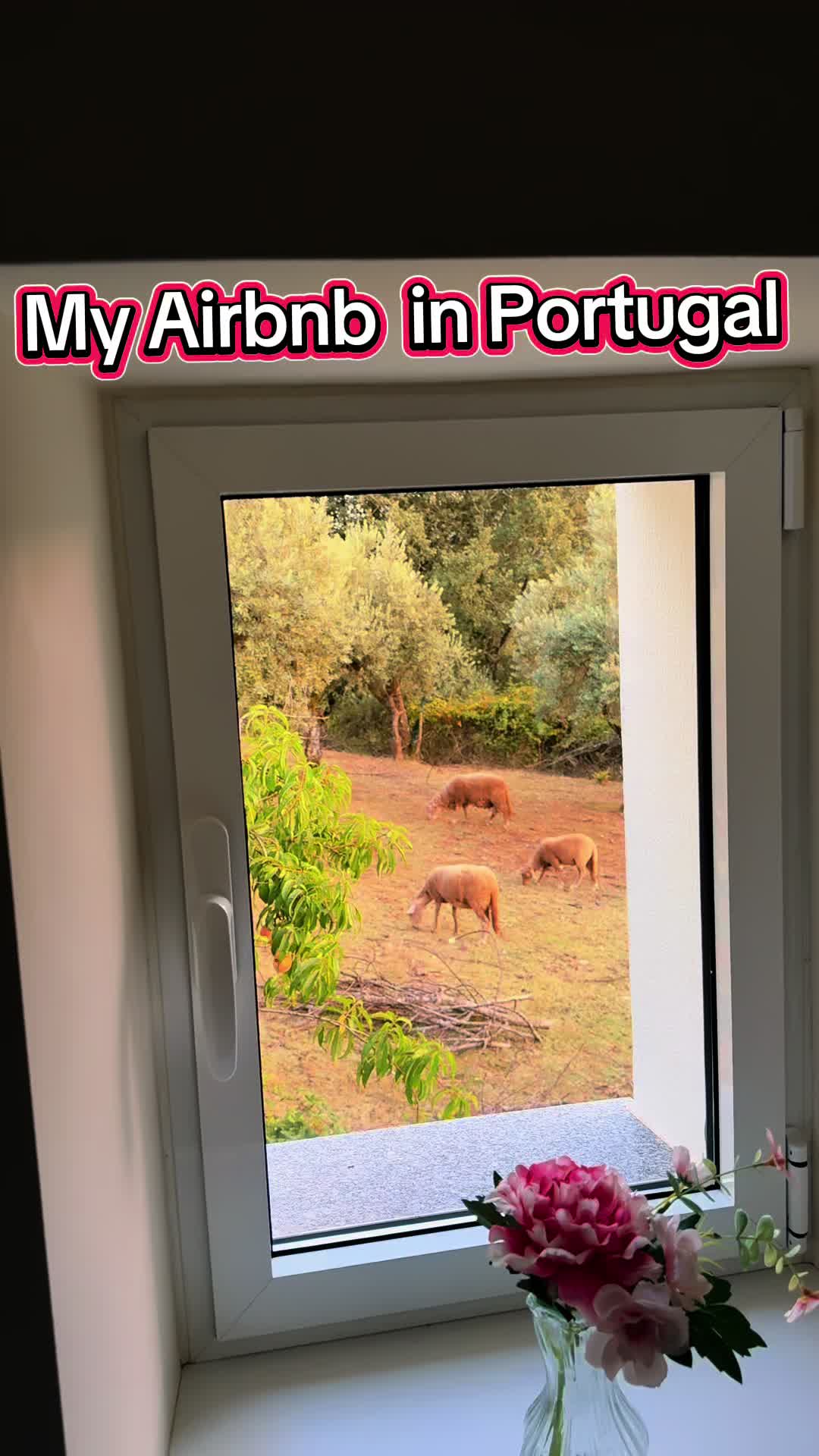 @The Portugueese Plug