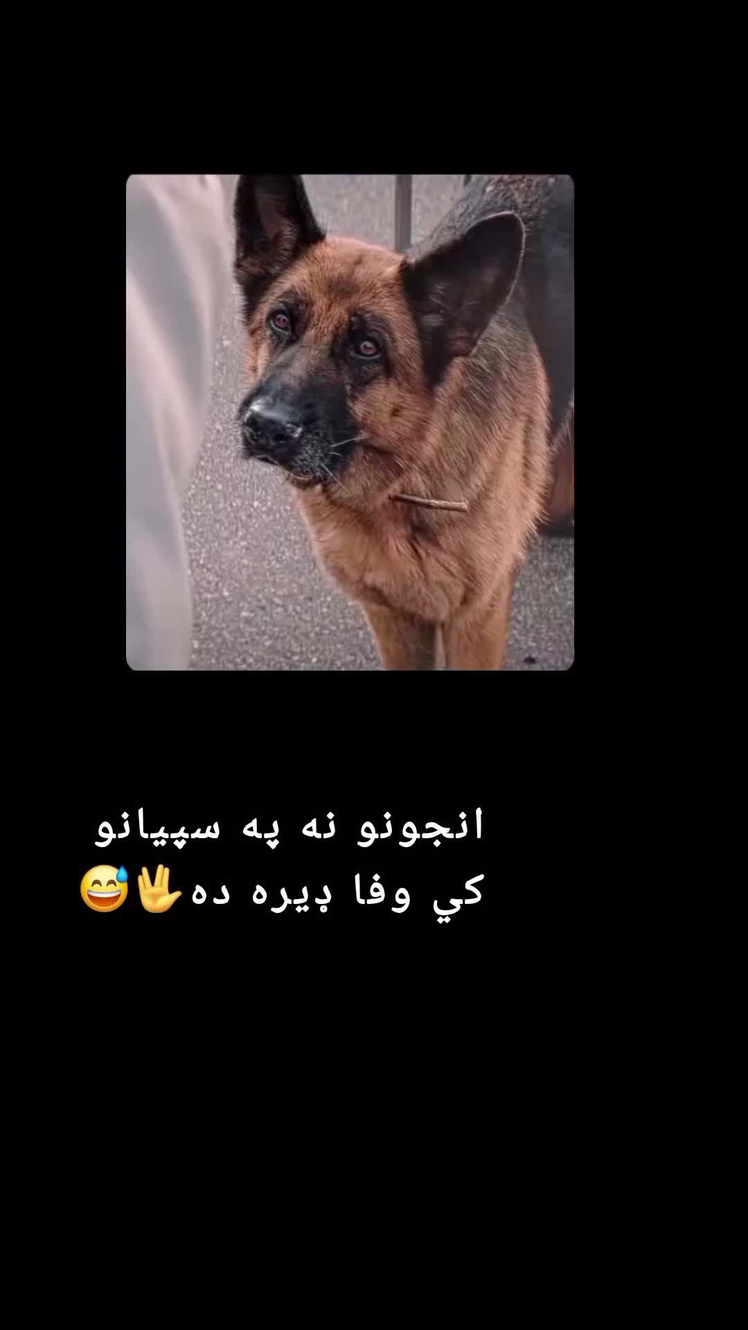 @رهــ🦢ــبر ◡̈⃝🖤
