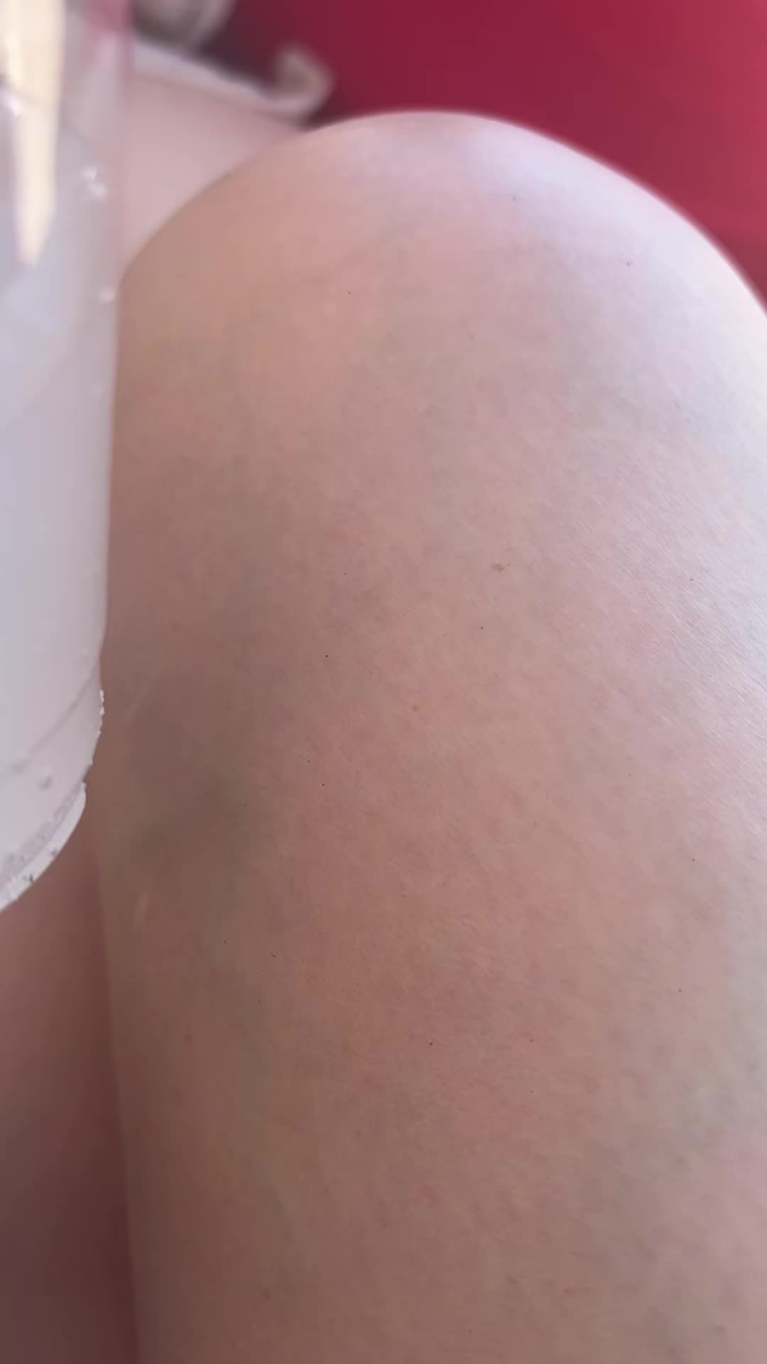 @marthamayorga381