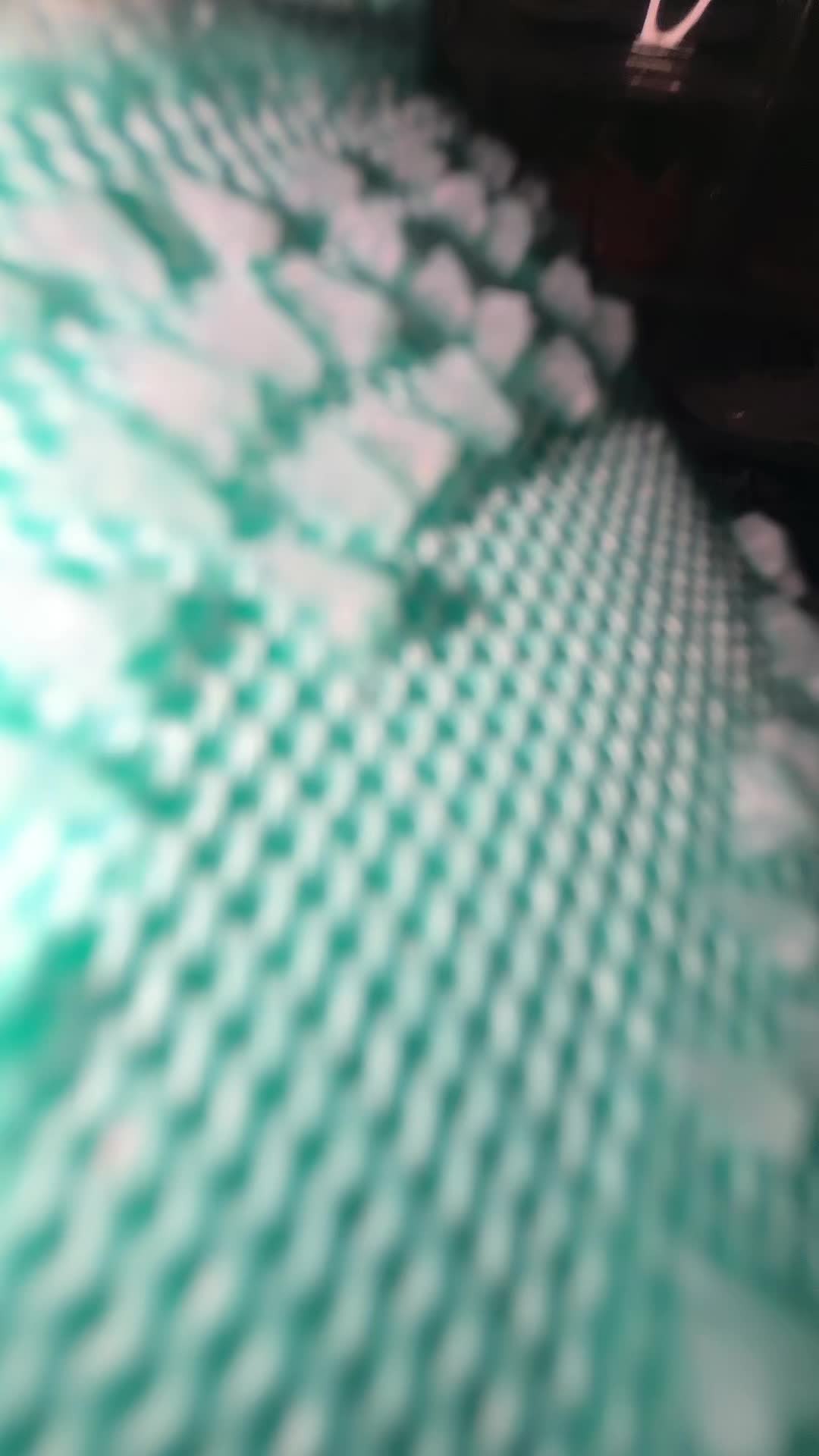 @Shoe.Guy.1
