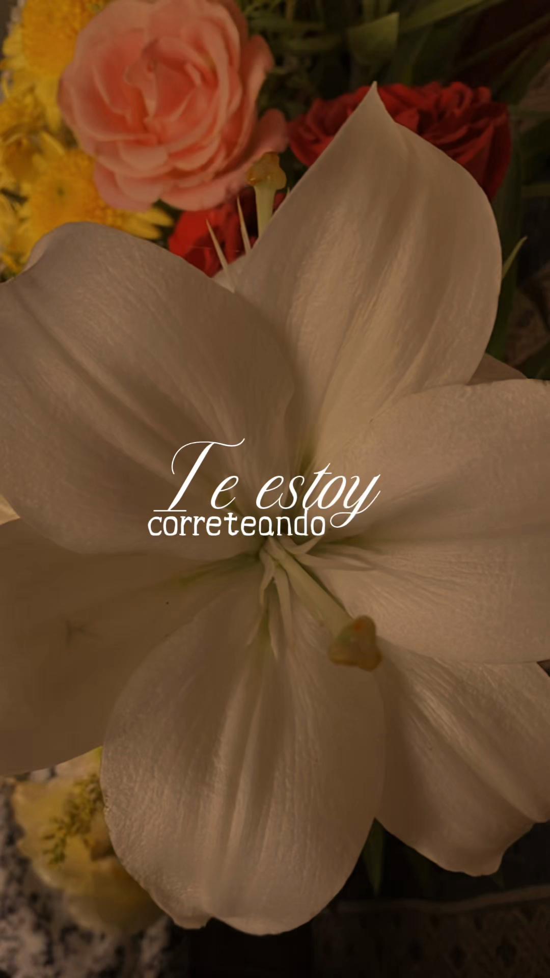@&hearts;︎Flor&hearts;︎